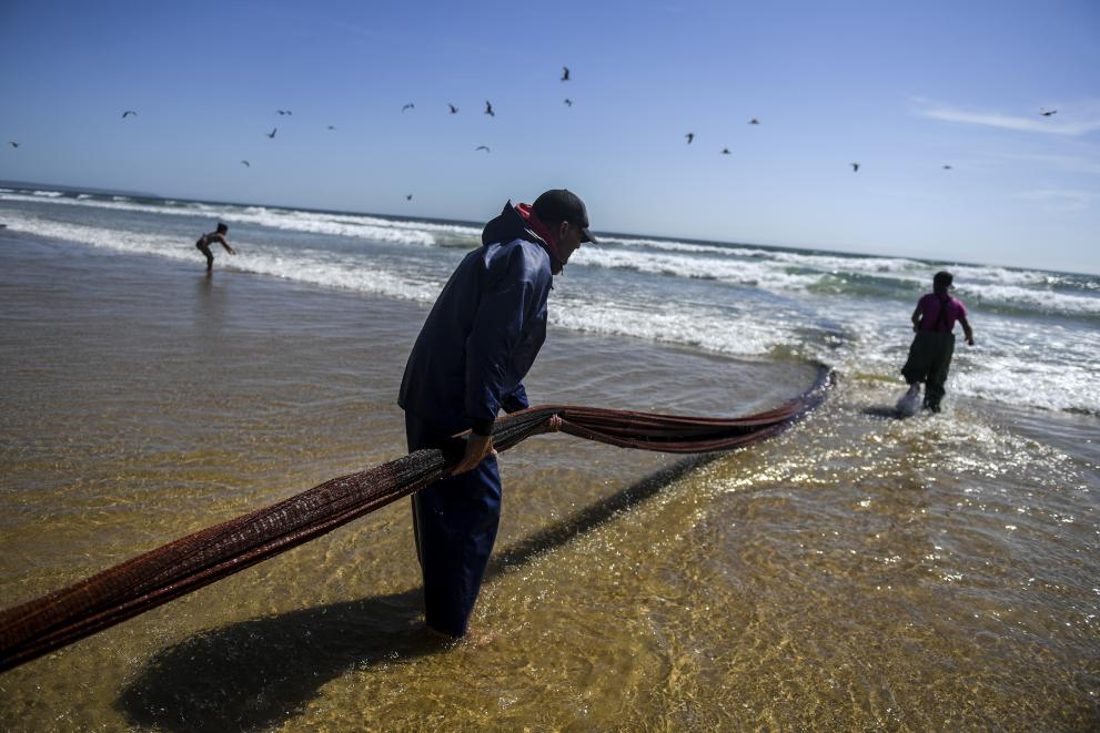 Fishing in the EU – Portugal, coastal fishing