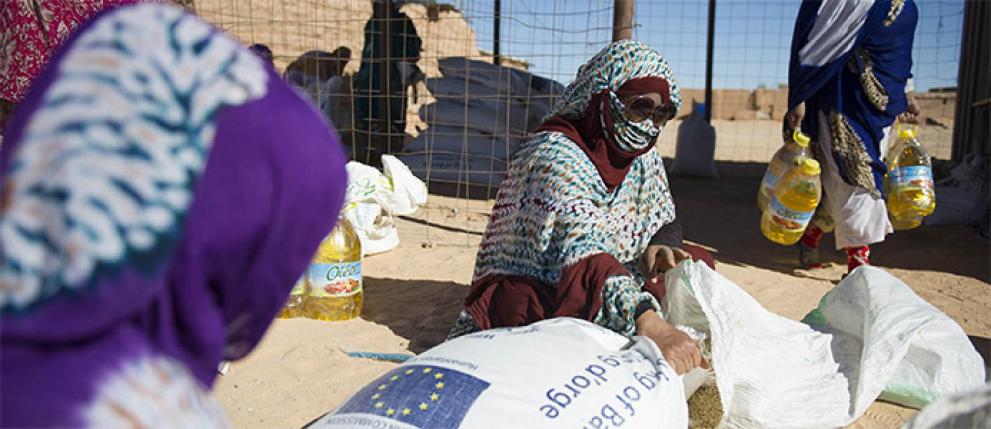 Humanitarna pomoč ranljivim v Alžiriji, Egiptu in Libiji