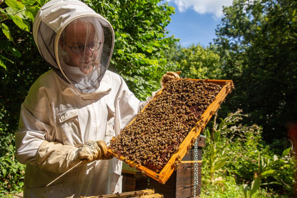 Državna pomoč čebelarjem