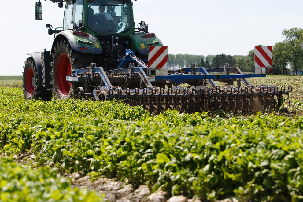 Odstopanja od pravil skupne kmetijske politike (Foto: Traktor z ralom na polju orje zemljo)