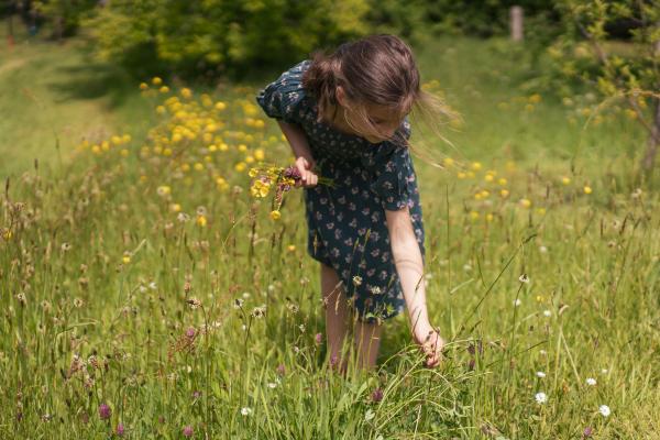 Pregled osmega okoljskega akcijskega programa (Foto: deklica nabira rožice na travniku)