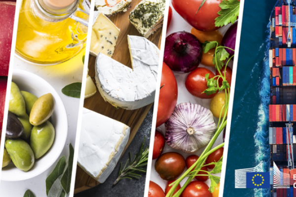 Trgovina EU z agroživilskimi proizvodi (Foto: nabor različnih predmetov, ki so povezani s trgovino s hrano, kot so jabolka, olive, sir, tovorna ladja)