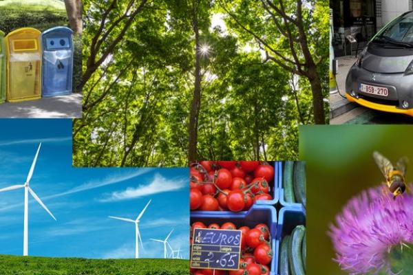 Država pomoč: Spodbujanje obnovljive energije v Sloveniji