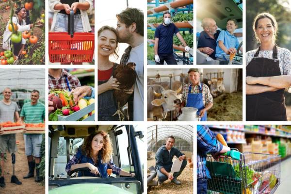 Javno posvetovanje o nepoštenih trgovinskih praksah v kmetijstvu (Foto: kolaž več fotografij kmetov in kmetic pri različnih kmečkih opravilih, od vožnje traktorja do prebiranja sadja)